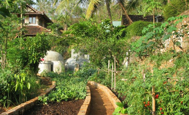 Healthy and Sustainable: A Visit to Bumilangit Farm