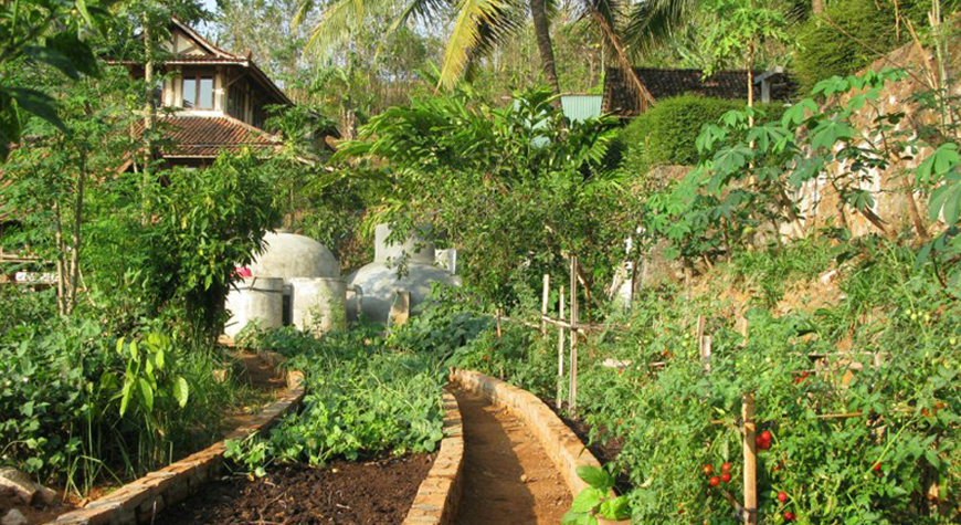 Healthy and Sustainable: A Visit to Bumilangit Farm