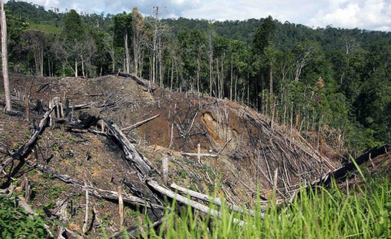 Seeing the Forests from the Trees: What Prabowo and Jokowi Offer