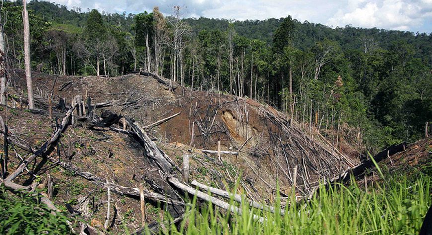 Seeing the Forests from the Trees: What Prabowo and Jokowi Offer