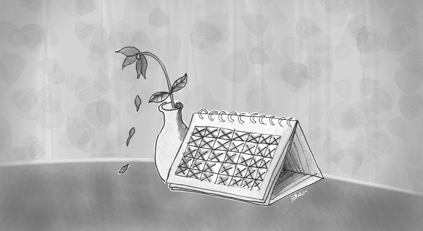 A Celebration of Menarche