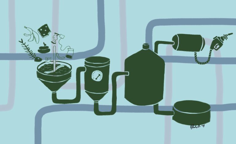 Sulap Tinja Sapi Jadi Biogas untuk Masak dan Pupuk: Kisah Sukses Energi Terbarukan