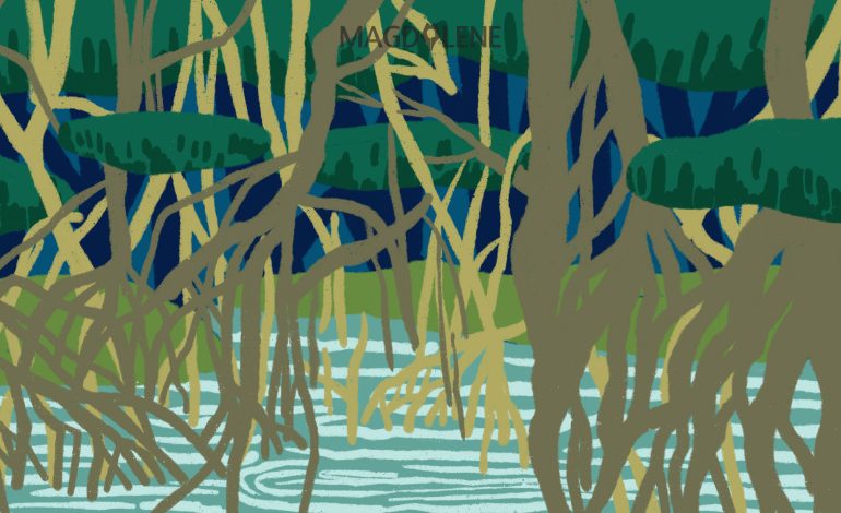 Hutan Mangrove Kami Berubah Jadi Gedung-gedung Tinggi