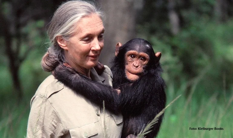 Kepergian Jane Goodall dan Warisan Abadi untuk Ilmu dan Bumi 