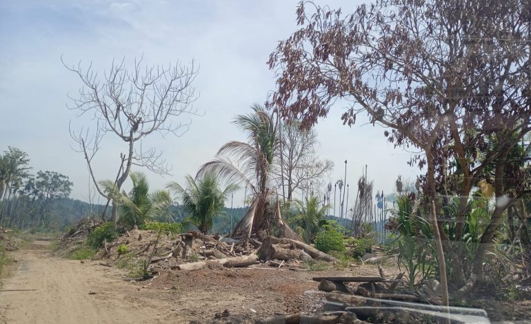 Enam Bulan Pasca-Banjir Sumatera, Penyintas Masih Tunggu Kepastian