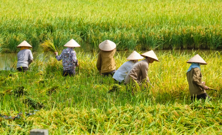 DPR Sahkan RUU Agraria Hari Ini, Koalisi Masyarakat Sipil: Ini Terlalu Terburu-buru