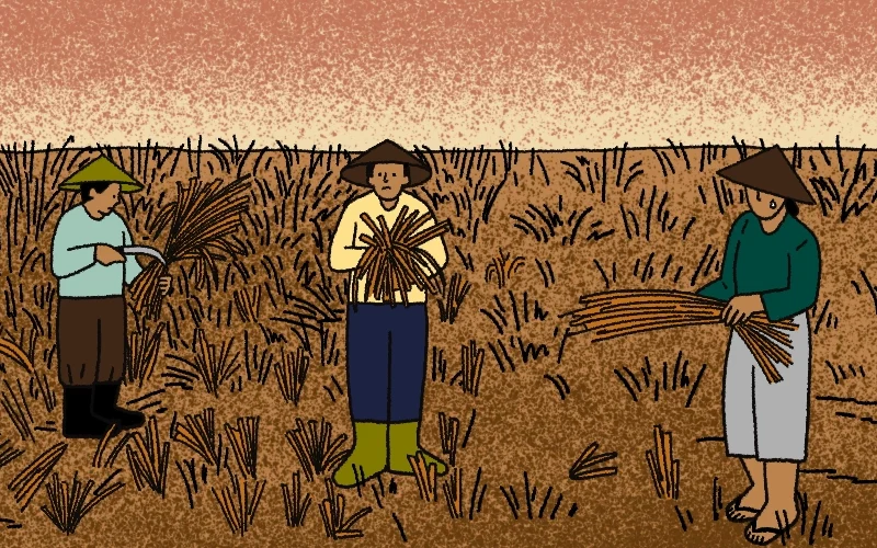 #HororPanasBumi: Perempuan di Kaki Ijen Tanggung Ongkos Energi Hijau 