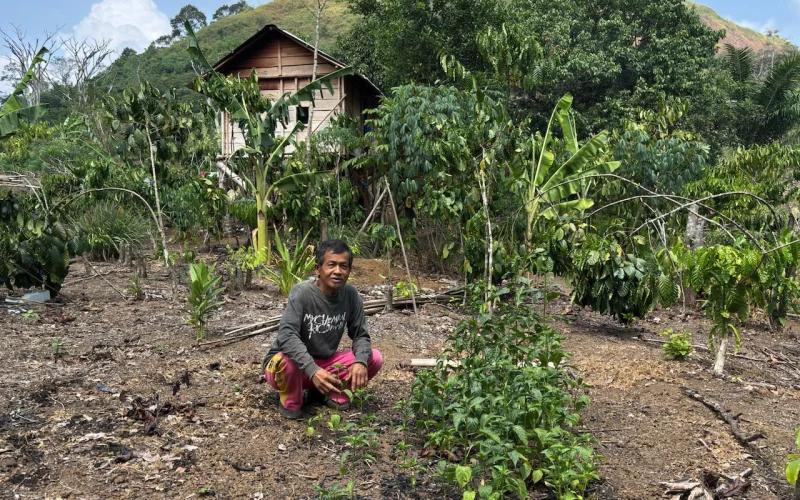 Tambang Pergi, Kebun Tak Produktif Lagi: Bagaimana Petani Muara Enim Menyambung Hidupnya Hari ini?