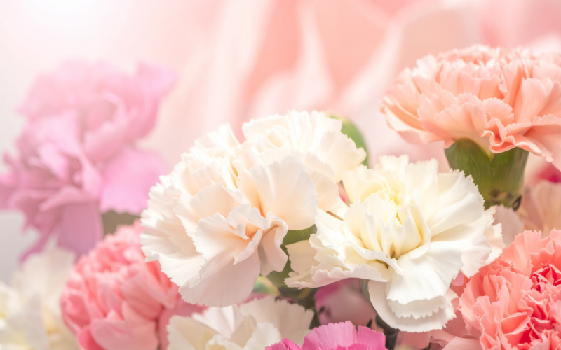 Dari Bunga Anyelir, ‘Me Time’, hingga Surat Cinta: Beragam Cara Rayakan Hari Ibu