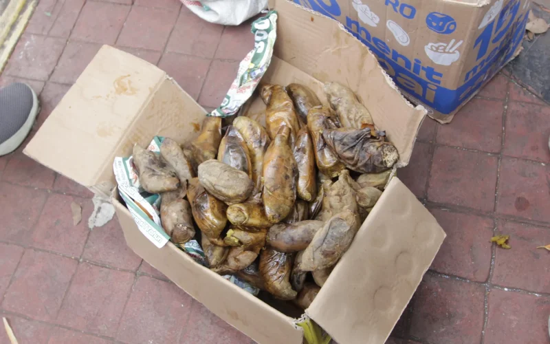 Dari Nasi Padang sampai Ubi Hangat, Perempuan Topang Massa Aksi DPR Dari Nasi Padang sampai Ubi Hangat, Perempuan Topang Massa Aksi DPR